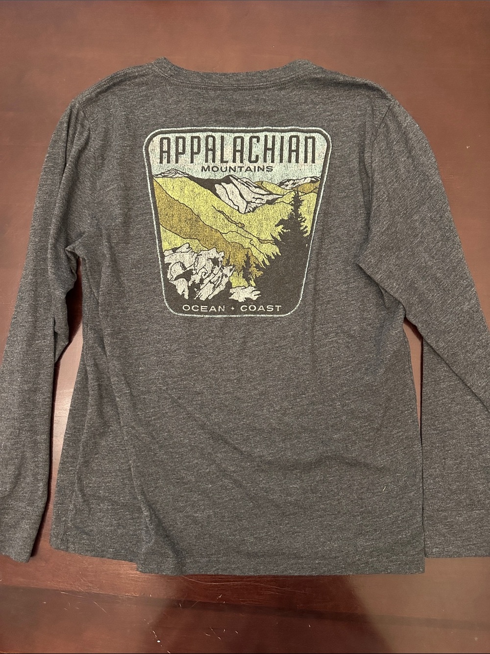 Appalachian Mountains Graphic Long Sleeve Tee - Gray
